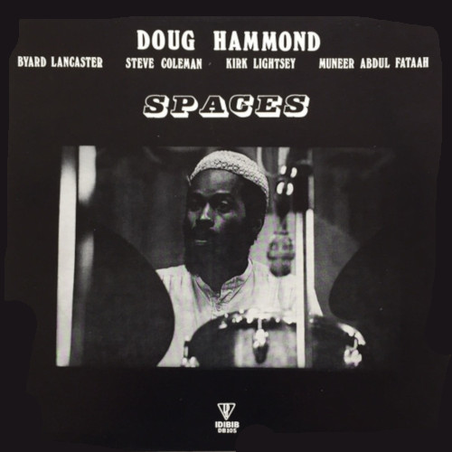 DOUG HAMMOND / ダグ・ハモンド / Spaces(LP)