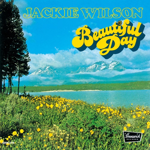 JACKIE WILSON / ジャッキー・ウィルソン / ビューティフル・デイ +3