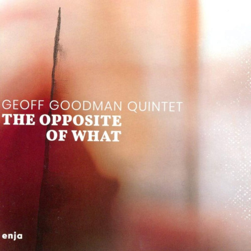 GEOFF GOODMAN / ジェフ・グッドマン / Opposite Of What