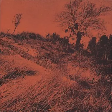 ザ・ディランII / きのうの思い出に別れをつげるんだもの