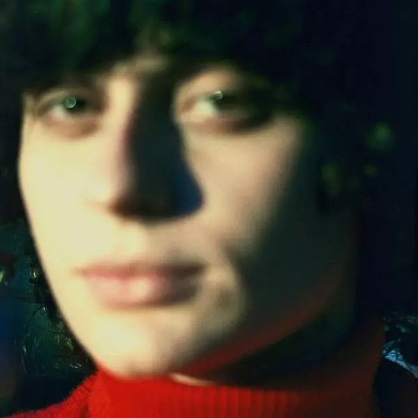 ANA FRANGO ELETRICO / アナ・フランゴ・エレトリコ / リトル・エレクトリック・チキン・ハート