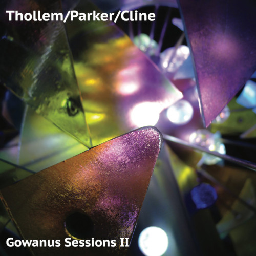THOLLEM MCDONAS / Gowanus Sessions II(LP)