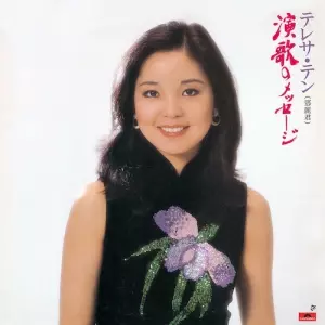 希少 帯付き  LPレコード  心にのこる夜の唄  テレサ・テン (鄧麗君) 希少 帯付き LPレコード 心にのこる夜の唄 テレサ・テン (鄧麗君)