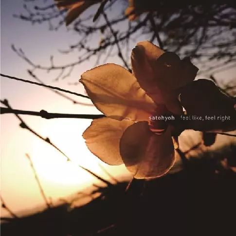 satohyoh / feel like, feel right