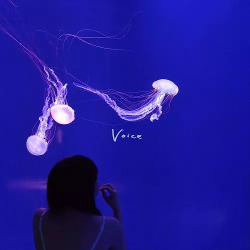 AKAIKURAGE / 赤いくらげ商品一覧｜ディスクユニオン・オンライン