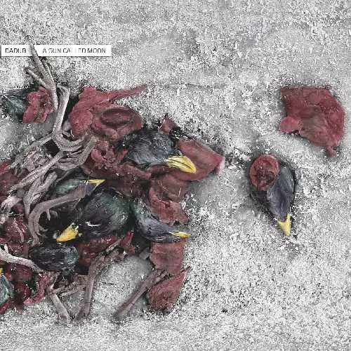 DADUB / SUN CALLED MOON