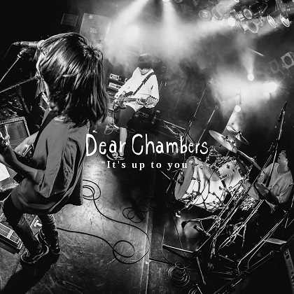 Dear Chambers / It’s up to you
