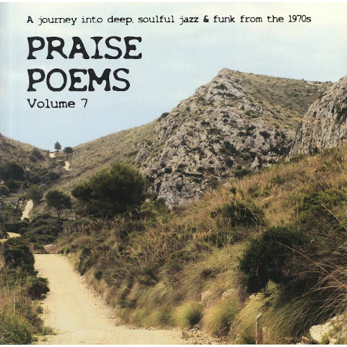 V.A.  / オムニバス / Praise Poems Vol.7 