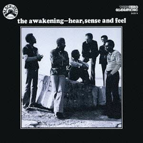 AWAKENING / アウェイクニング / Hear Sense & Feel (LP)