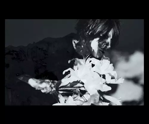 lynch. HAZUKI 葉月 葬艶 FUNERAL数量限定豪華盤 CD 葬艶-FUNERAL-/HAZUKI/葉月/数量限定豪華盤 / PHOTO BOOK付