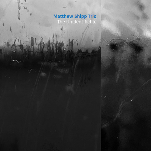 MATTHEW SHIPP / マシュー・シップ / Unidentifiable