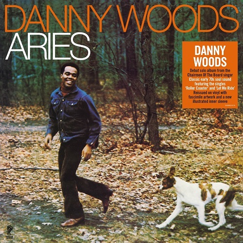 DANNY WOODS / ダニー・ウッズ / AIRIES (LP)