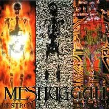 MESHUGGAH DESTROY ERASE IMPROVE メシュガー 国内 DESTROY ERASE IMPROVE / デストロイ・イレース・インプルーヴ