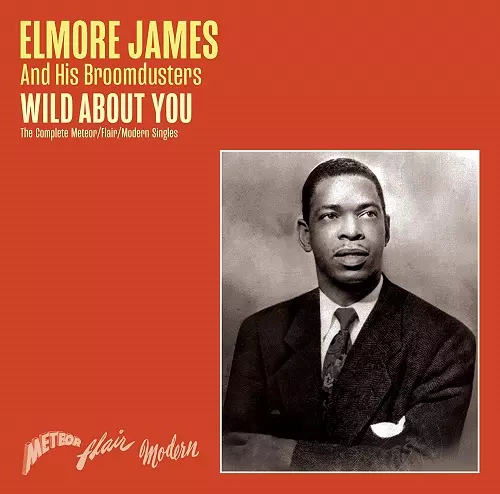 ELMORE JAMES / エルモア・ジェイムス商品一覧｜JAZZ｜ディスク