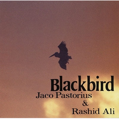 JACO PASTORIUS / ジャコ・パストリアス / ブラックバーズ