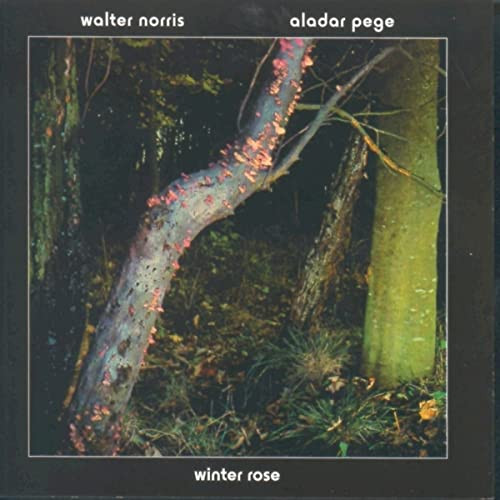 WALTER NORRIS / ウォルター・ノリス / WINTER ROSE / ウィンター・ローズ
