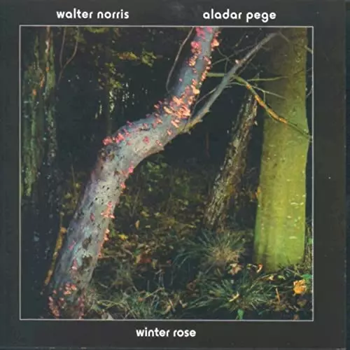 洋楽 Walter Norris Stepping On Cracks Walter Norris Trio – Stepping On Cracks – CD (Album, Reissue