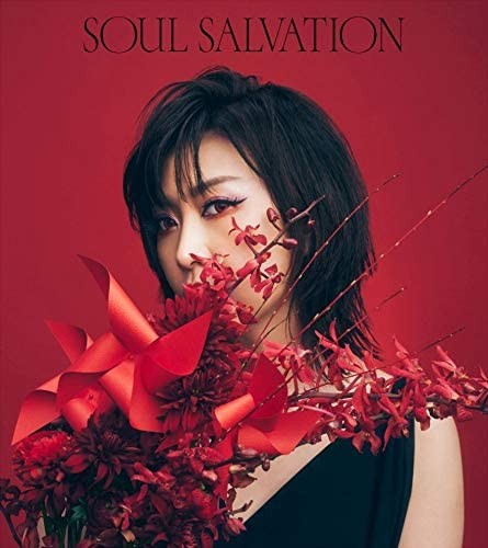 MEGUMI HAYASHIBARA / 林原めぐみ / Soul salvation