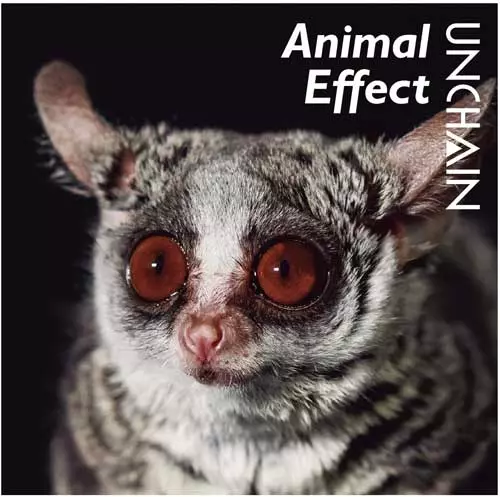 UNCHAIN (PUNK) / Animal Effect