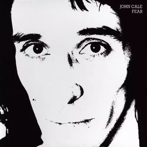 JOHN CALE / ジョン・ケイル / FEAR / 恐れ