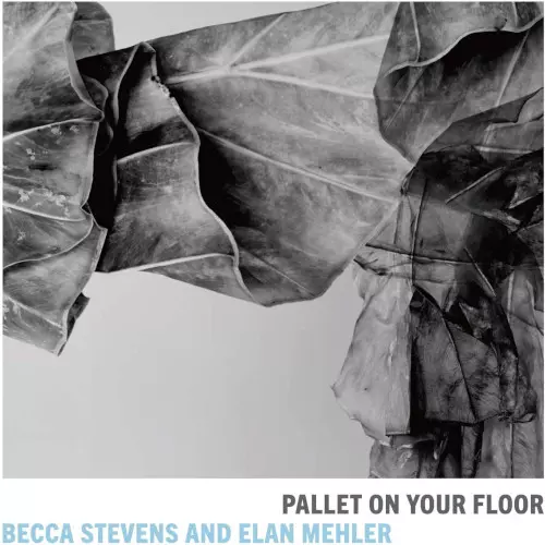 BECCA STEVENS / ベッカ・スティーヴンス / パレット・オン・ユア・フロアー