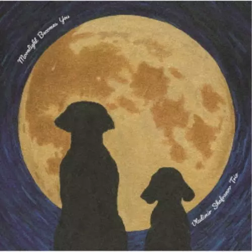 VLADIMIR SHAFRANOV / ウラジミール・シャフラノフ / Moonlight Becomes You / ムーンライト・ビカムズ・ユー