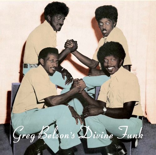 V.A.(GREG BELSON'S DIVINE FUNK) / GREG BELSON'S DIVINE FUNK