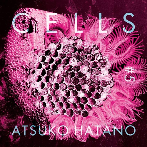 ATSUKO HATANO / 波多野敦子 / Cells #5