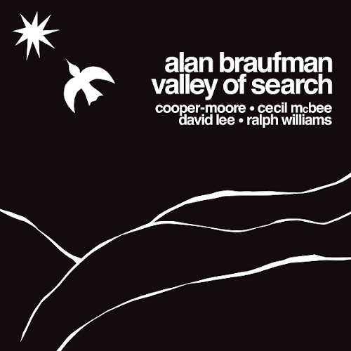 ALAN BRAUFMAN / アラン・ブラウフマン / Valley Of Search