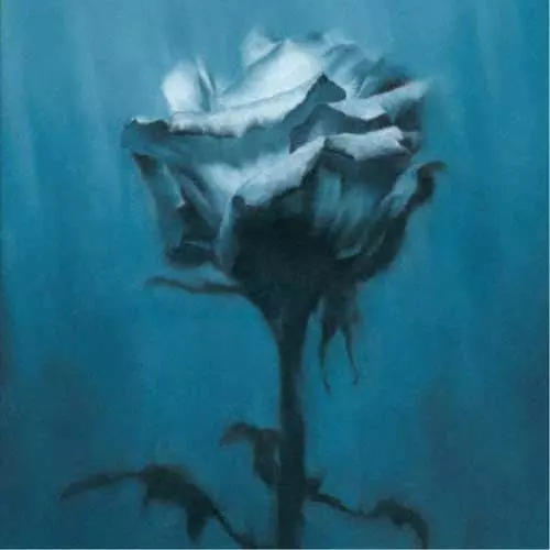 waterweed / Deep inside + Unknown best