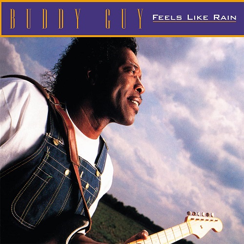 BUDDY GUY / バディ・ガイ / FEELS LIKE RAIN (LP)