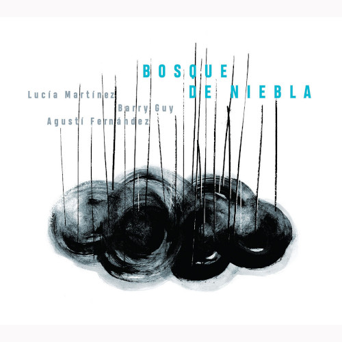 AGUSTI FERNANDEZ / アグスティ・フェルナンデス / Bosque De Niebla(2CD)