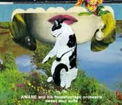 AWANE and his foundfootage orchestra / sweet azul suite