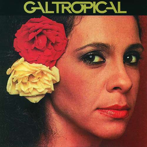 GAL COSTA / ガル・コスタ商品一覧｜ディスクユニオン・オンライン