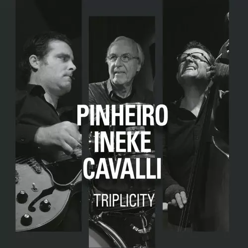 RICARDO PINHEIRO / リカルド・ピニェイロ / トリプリシティ