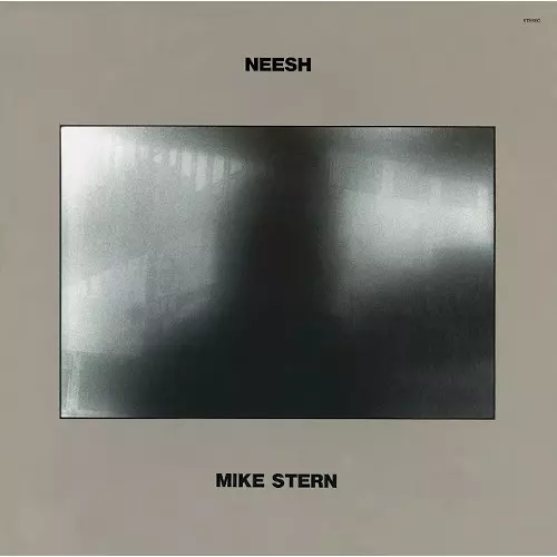 MIKE STERN / マイク・スターン / ファット・タイム
