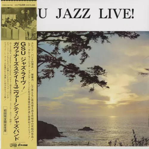 イン・ニューヨーク/MICHEL SARDABY/ミシェル・サルダビー｜JAZZ
