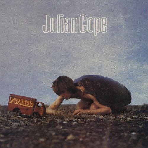 JULIAN COPE / ジュリアン・コープ / FRIED / フライド +3