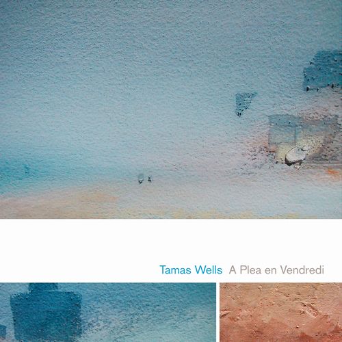 TAMAS WELLS / A PLEA EN VENDREDI (15TH ANNIVERSARY LP EDITION) / A Plea en Vendredi (15th anniversary LP edition)