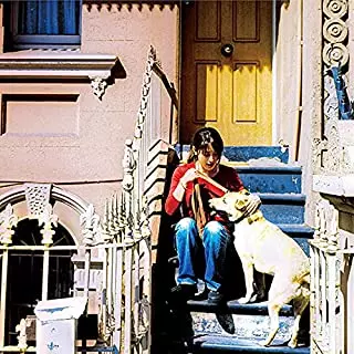 時間の翼」 Toki no tsubasa ~30th Anniversary~/ZARD/ザード/30周年