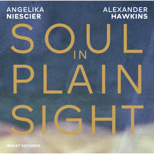 ANGELIKA NIESICER/ALEXANDER HAWKINS / Soul In Plain Sight