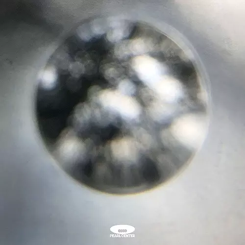 PEARL CENTER / Orb