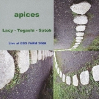STEVE LACY / スティーヴ・レイシー / 'APICES' LACY - TOGASHI - SATOH LIVE AT EGG FARM 2000 / アピス~レイシー・富樫・佐藤・ライブ・アット・エッグファーム2000