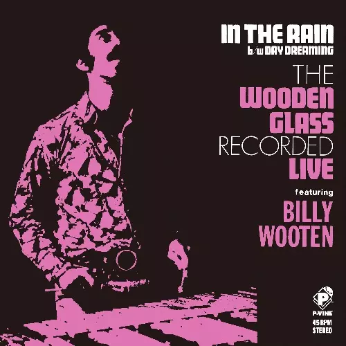新品LP WOODEN GLASS BILLY WOOTEN The Wooden Glass Featuring Billy Wooten - The Wooden Glass