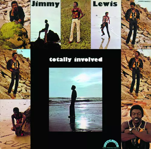 JIMMY LEWIS / ジミー・ルイス商品一覧｜OLD ROCK｜ディスクユニオン
