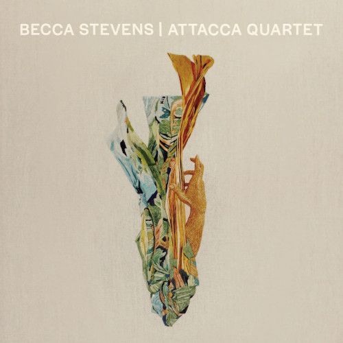 BECCA STEVENS / ベッカ・スティーヴンス / ベッカ・スティーヴンス|アタッカ・クァルテット