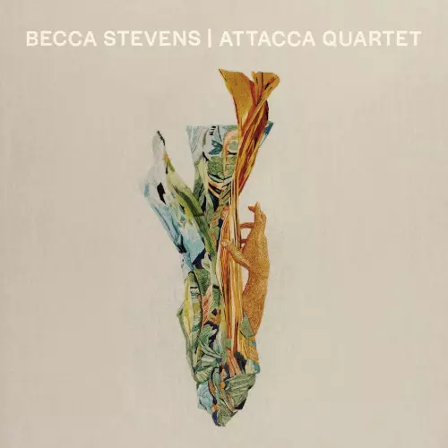 BECCA STEVENS / ベッカ・スティーヴンス / ベッカ・スティーヴンス|アタッカ・クァルテット