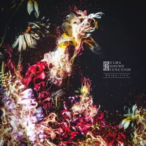 ulma sound junction / ウルマ・サウンド・ジャンクション商品一覧