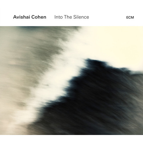 AVISHAI COHEN (BASS) / アヴィシャイ・コーエン / INTO THE SILENCE / イントゥ・ザ・サイレンス