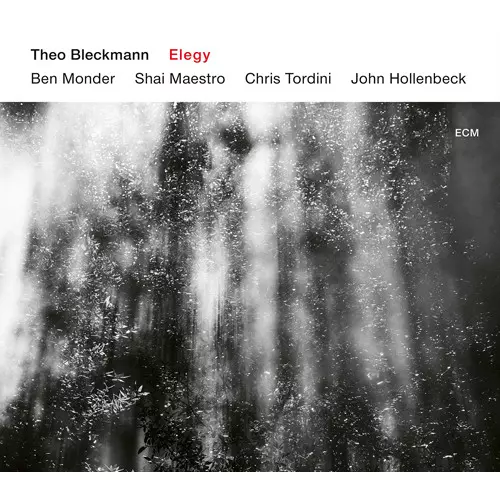 THEO BLECKMANN / セオ・ブレックマン / ELEGY / エレジー